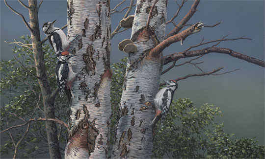 Great spotted woodpecker completed painting - original oil on canvas